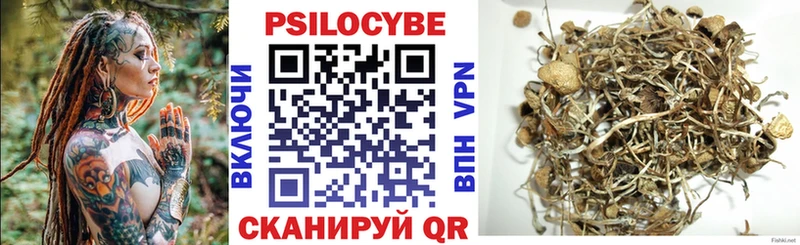 Псилоцибиновые грибы Cubensis кракен сайт Пересвет