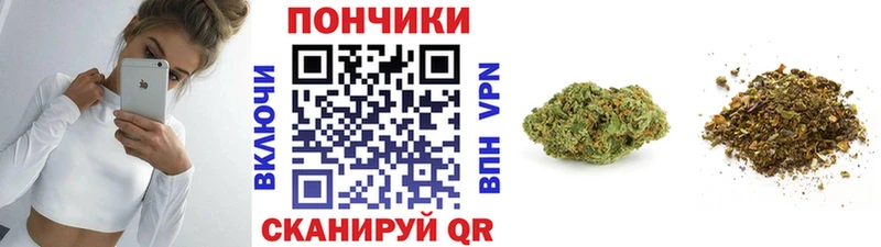 хочу наркоту  Пересвет  Конопля индика 